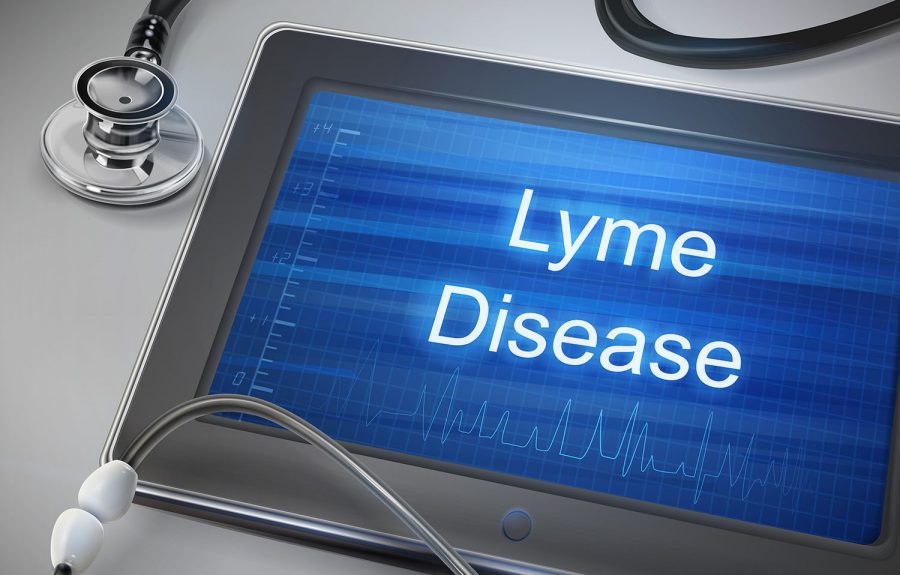 Lyme Disease